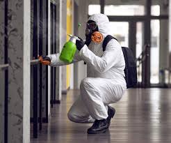 Trusted Mount Shasta, CA Mold Removal Services Experts